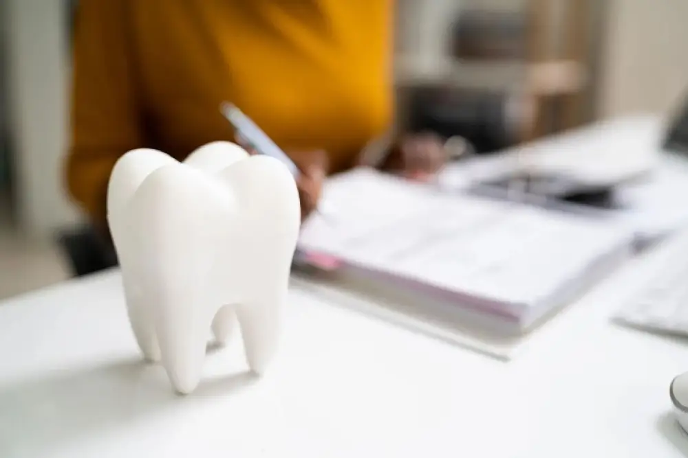 dental insurance terminology forest manor dental dental insurance terminology forest manor dental