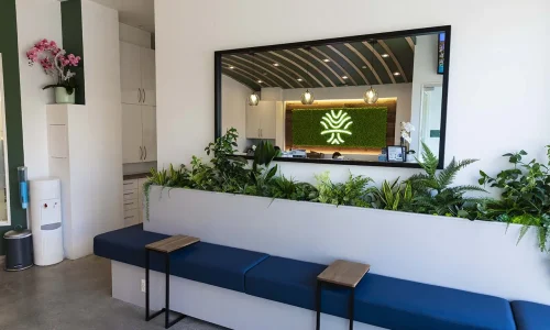 North York s reliable dental care provider