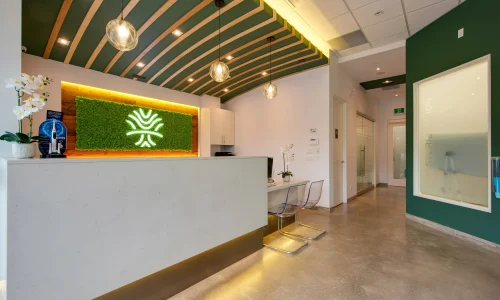North York s reputable dentist